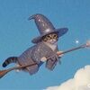 _skyfindz